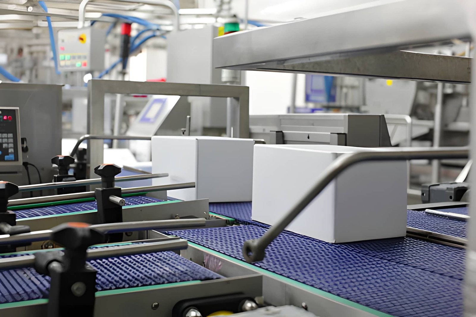 dozen op een blauwe conveyor belt